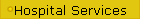 Hospital Services
